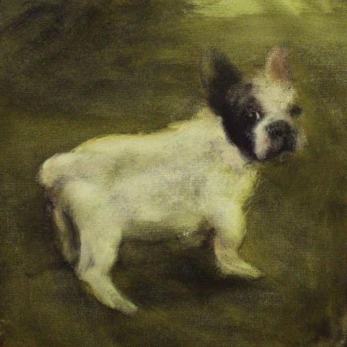 Bouledogue - acrylique sur toile 30 X 30 cm 2012