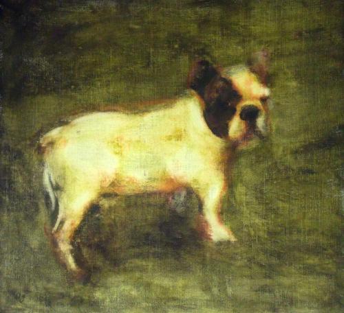 Bouledogue - acrylique sur toile 73 X 66 cm 2012